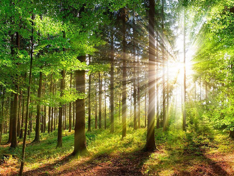 Sol, fuente inagotable de energía